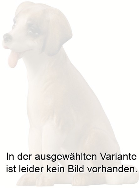 Hund modern