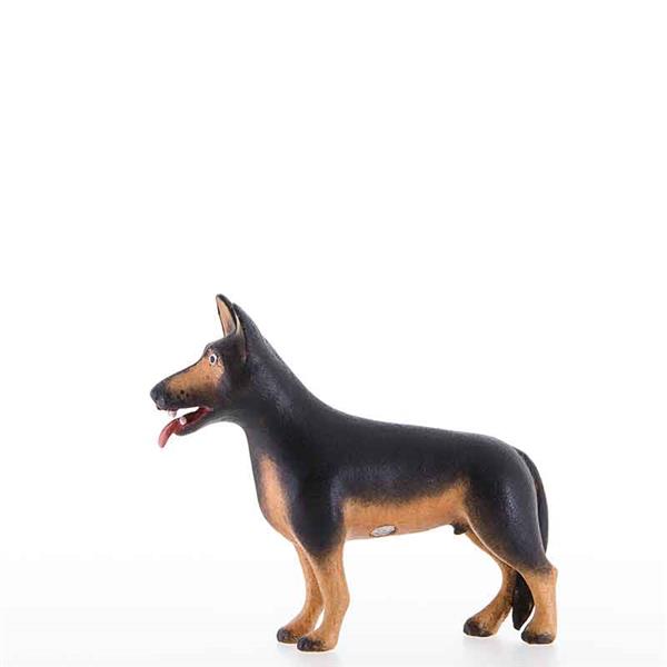 Schäferhund