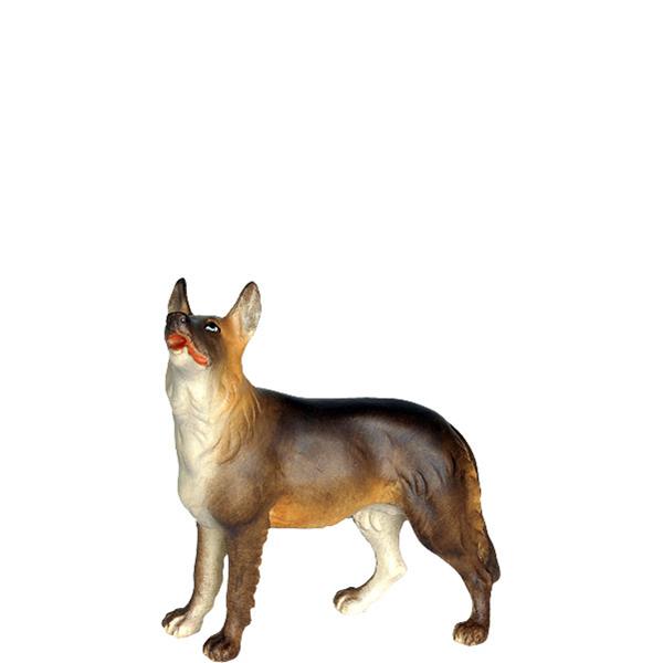 Schäferhund