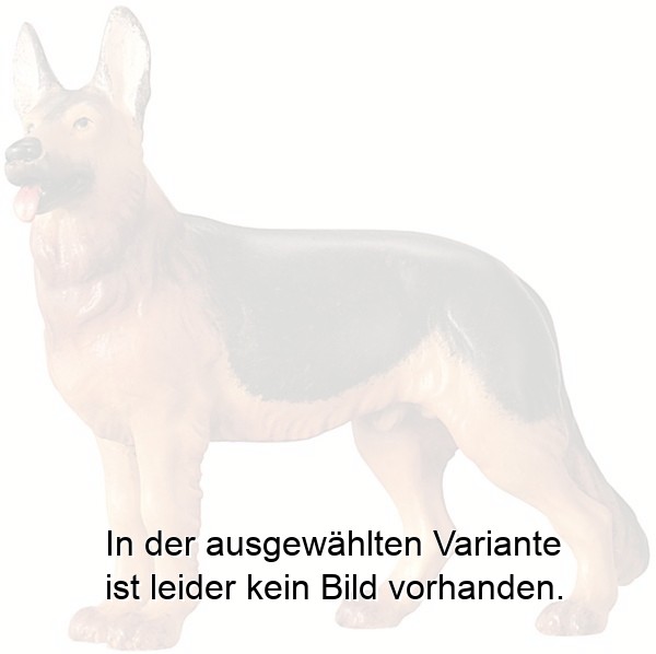 Schäferhund