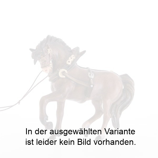 Pferd (passend zu Karren Nr. 22000)