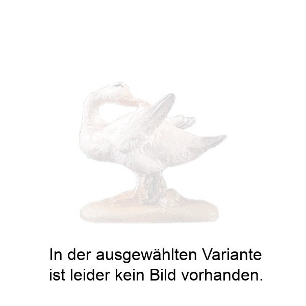 Ente mit Kopf zurück