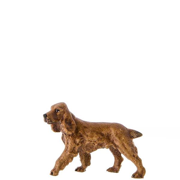 Cockerspaniel