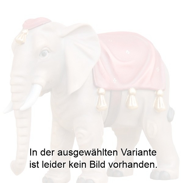 Elefant