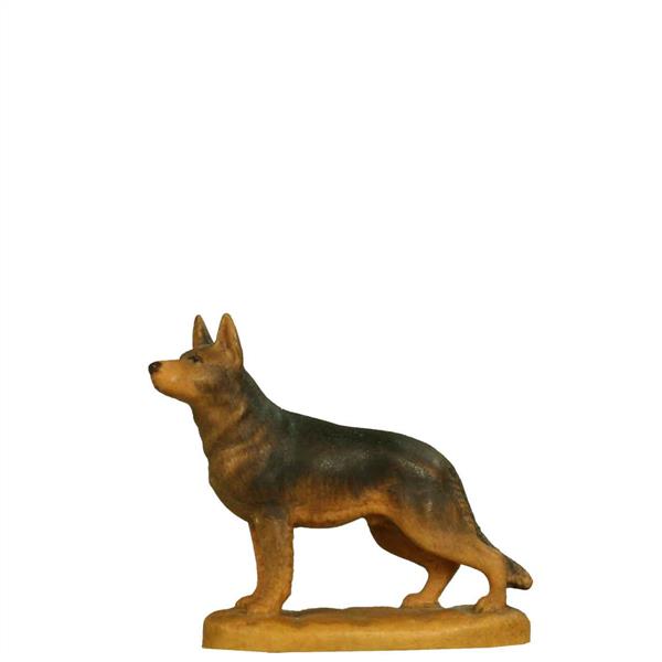 Schäferhund