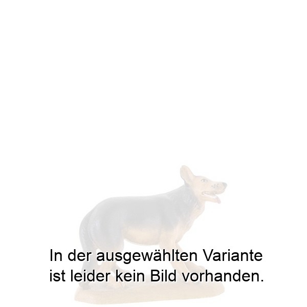 Schäferhund