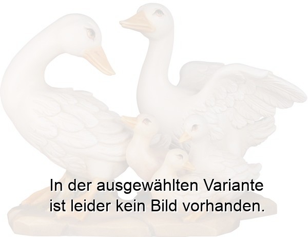 Gänsefamilie